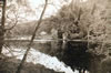 Loch Pulney, Dunkeld